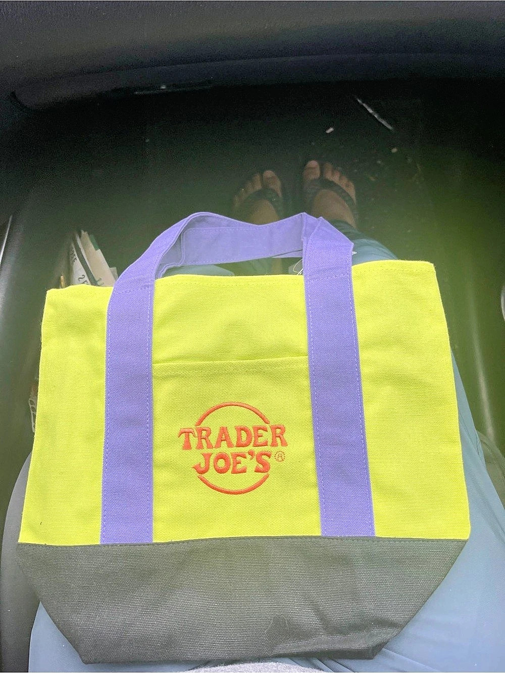 Trader Joe's Mini Canvas Tote Bag Green & Purple